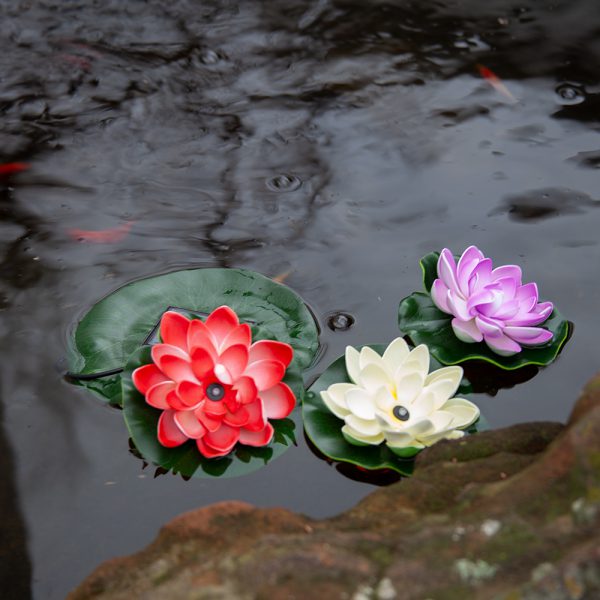 solar lily pond lights